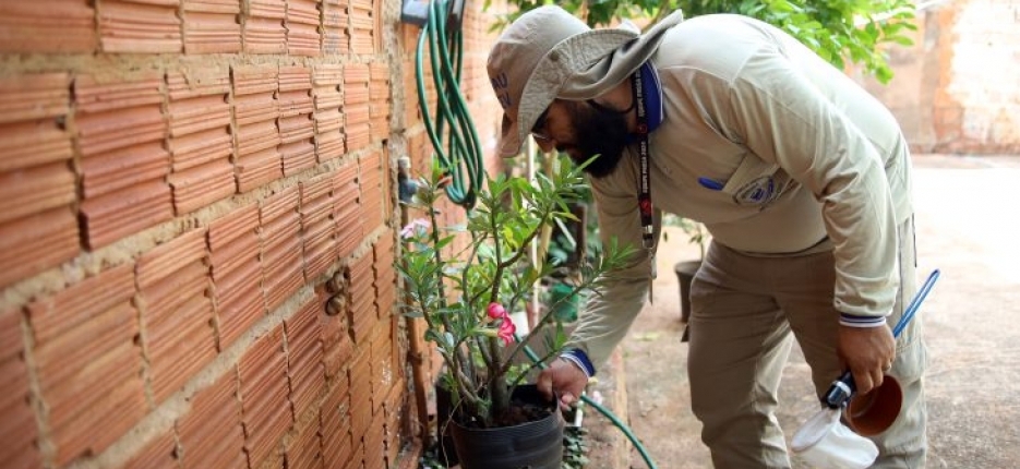 Boletim Epidemiolgico: MS registra 7.865 casos confirmados de dengue